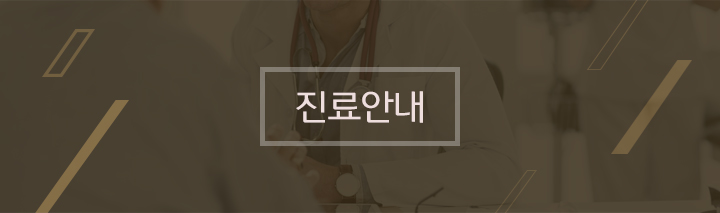 진료안내